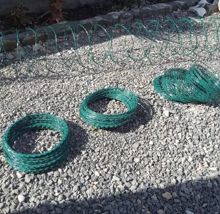 WhatsApp Image 2024-09-13 at 14.02.26_468b772d